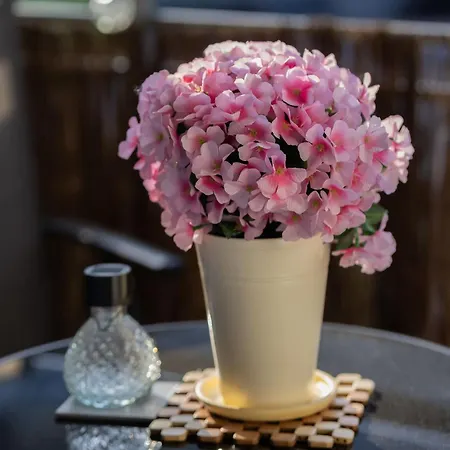 Family With Parking In By Renters Pruszków